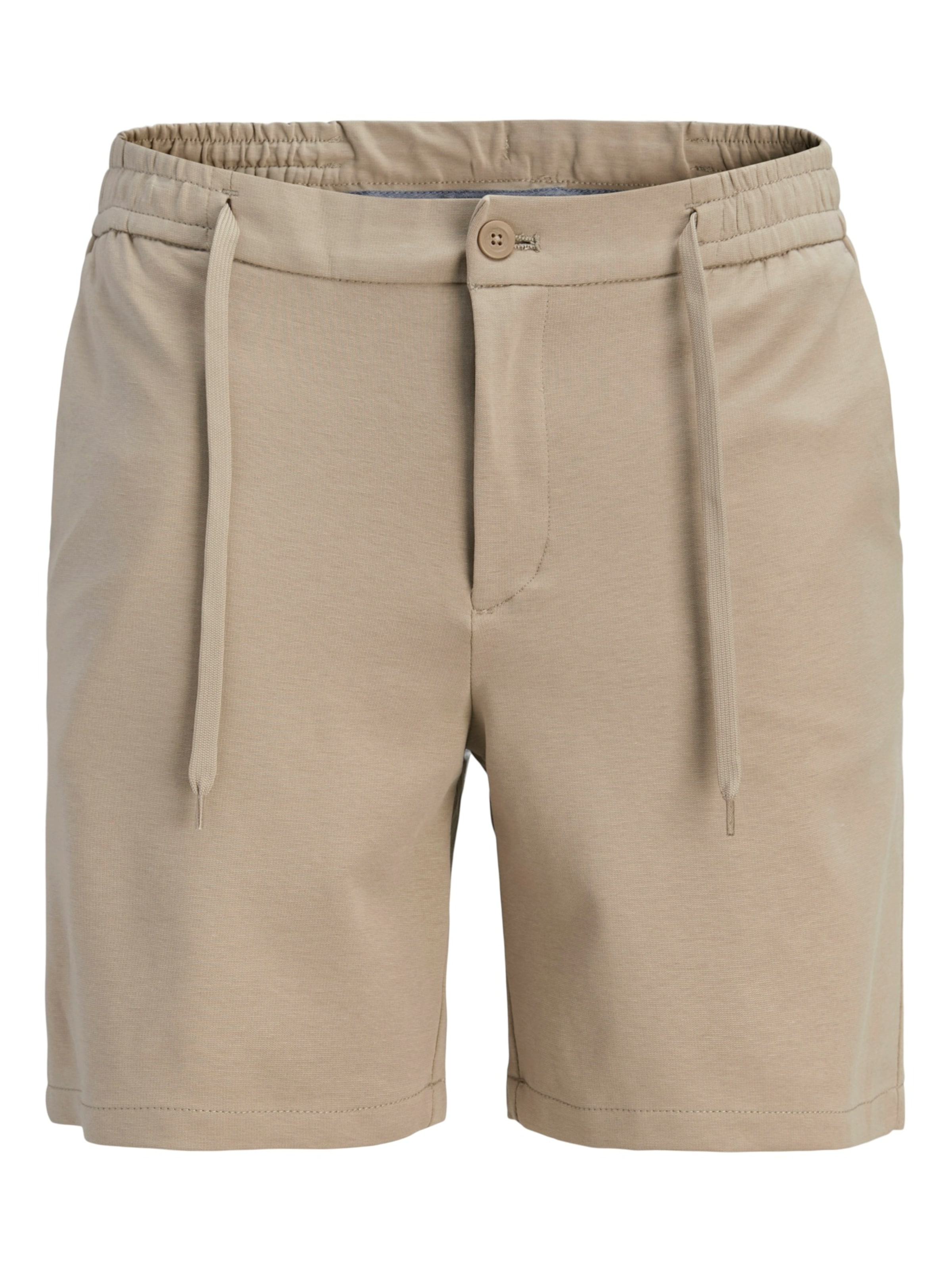 regular Pantaloni 'JPSTACE NEO' di JACK & JONES in marrone: frontale