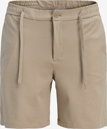 regular Pantaloni 'JPSTACE NEO' di JACK & JONES in marrone: frontale