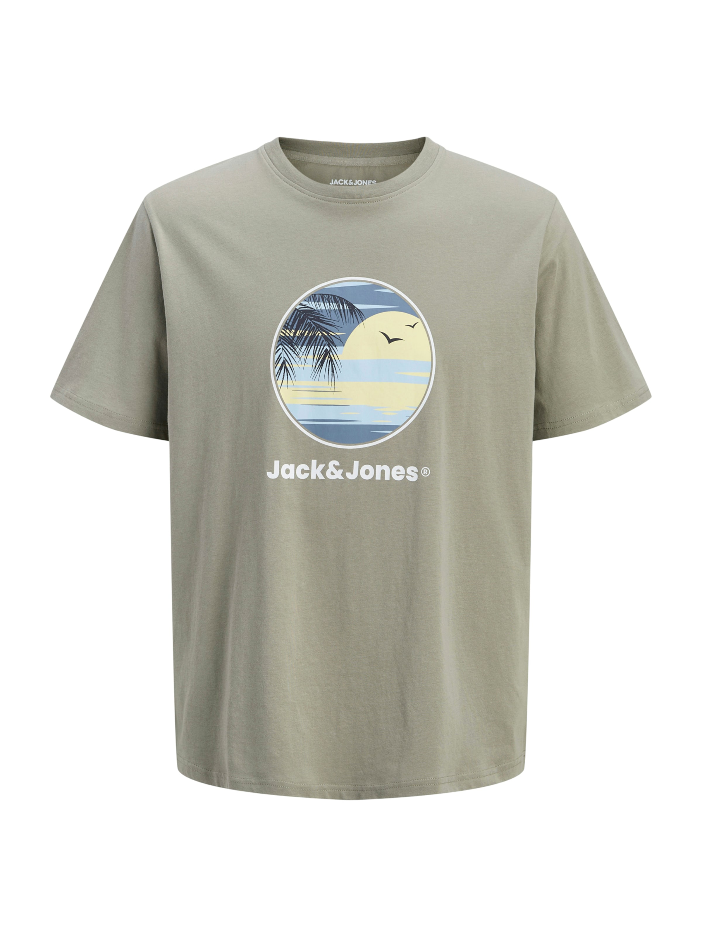 Jack & Jones Plus Särk 'JJPERRY', värv hall: eest vaates