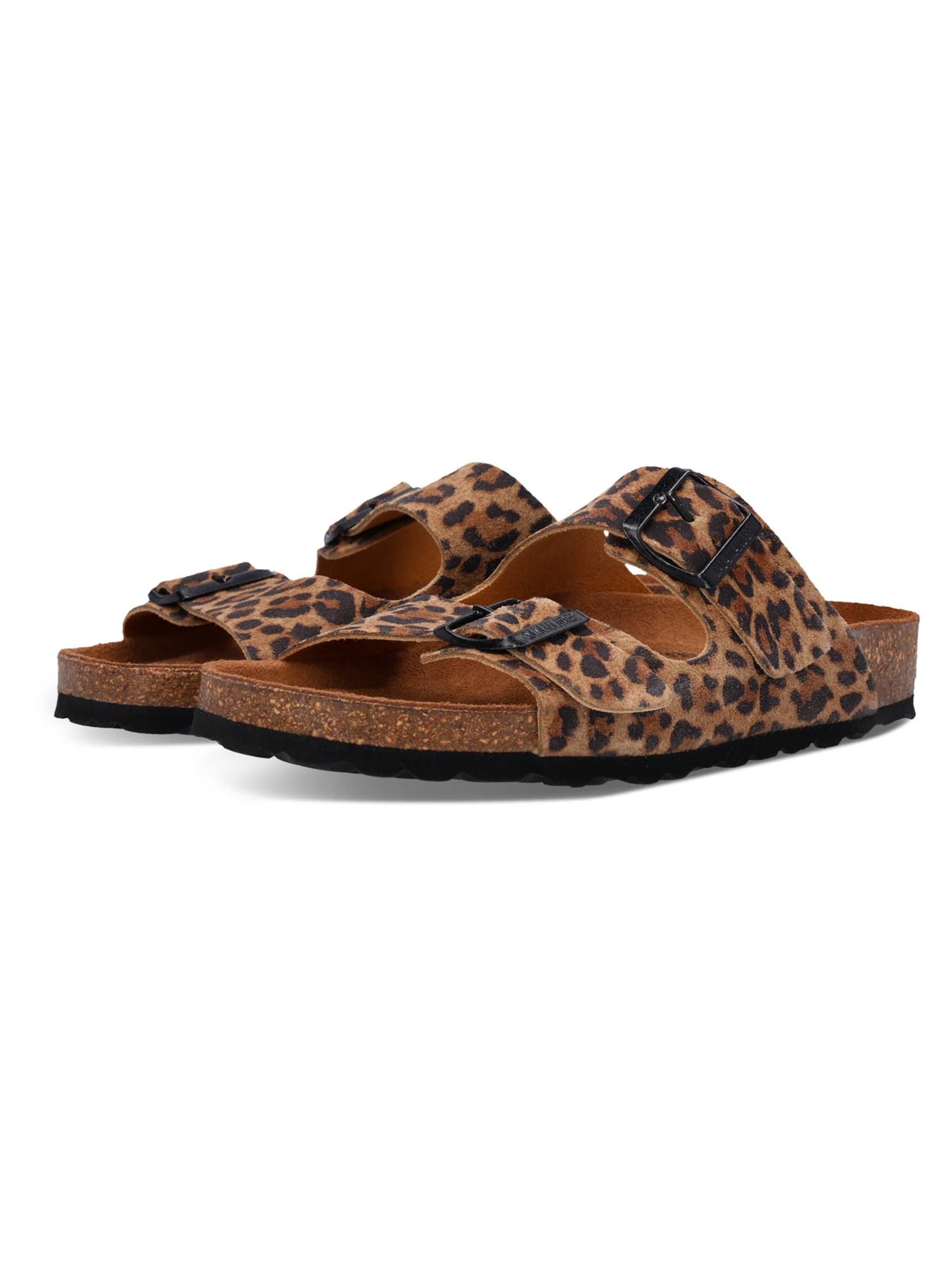 SALAMANDER Mules 'Basic' in Mixed colors