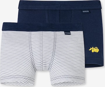 SCHIESSER Underpants in Blue: front