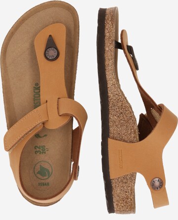 BIRKENSTOCK Sandale 'Kairo' in Braun