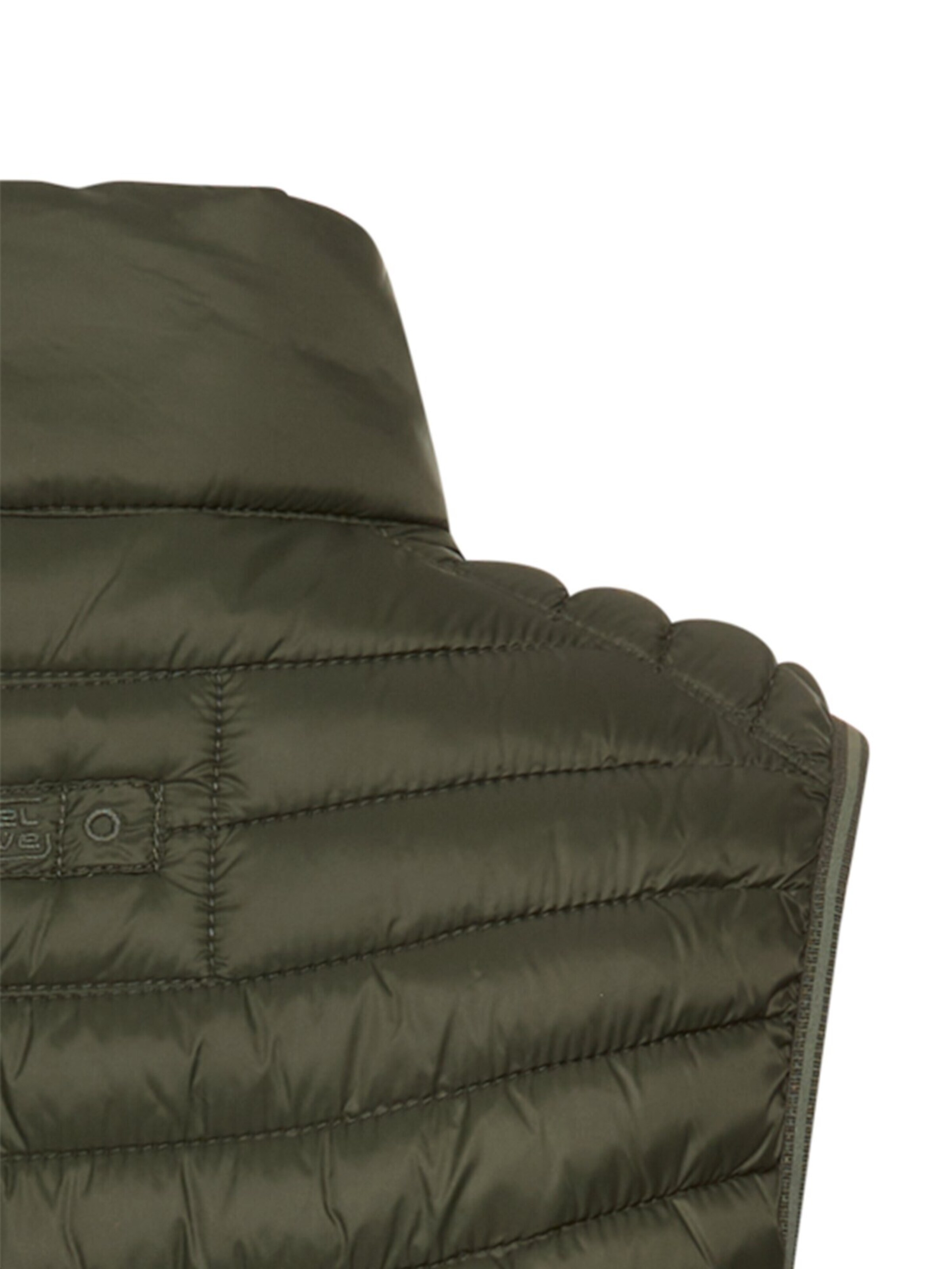 CAMEL ACTIVE Vest in Green