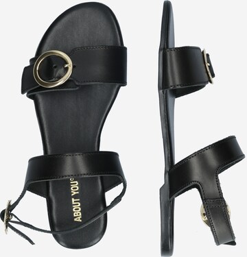 ABOUT YOU Strap Sandals 'Veronika' in Black