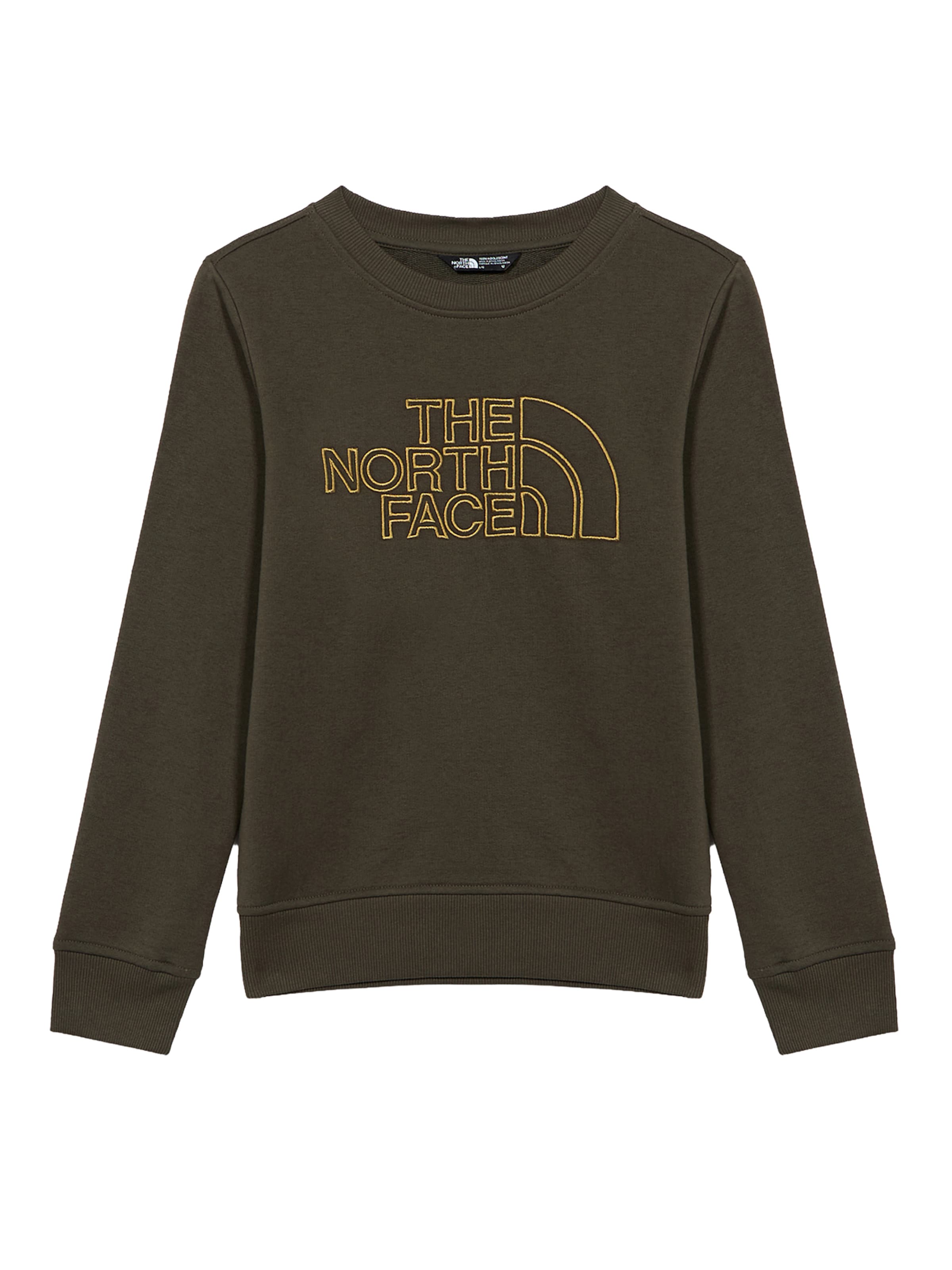 THE NORTH FACE Urheilullinen collegepaita 'DREW PEAK' värissä vihreä: etupuoli