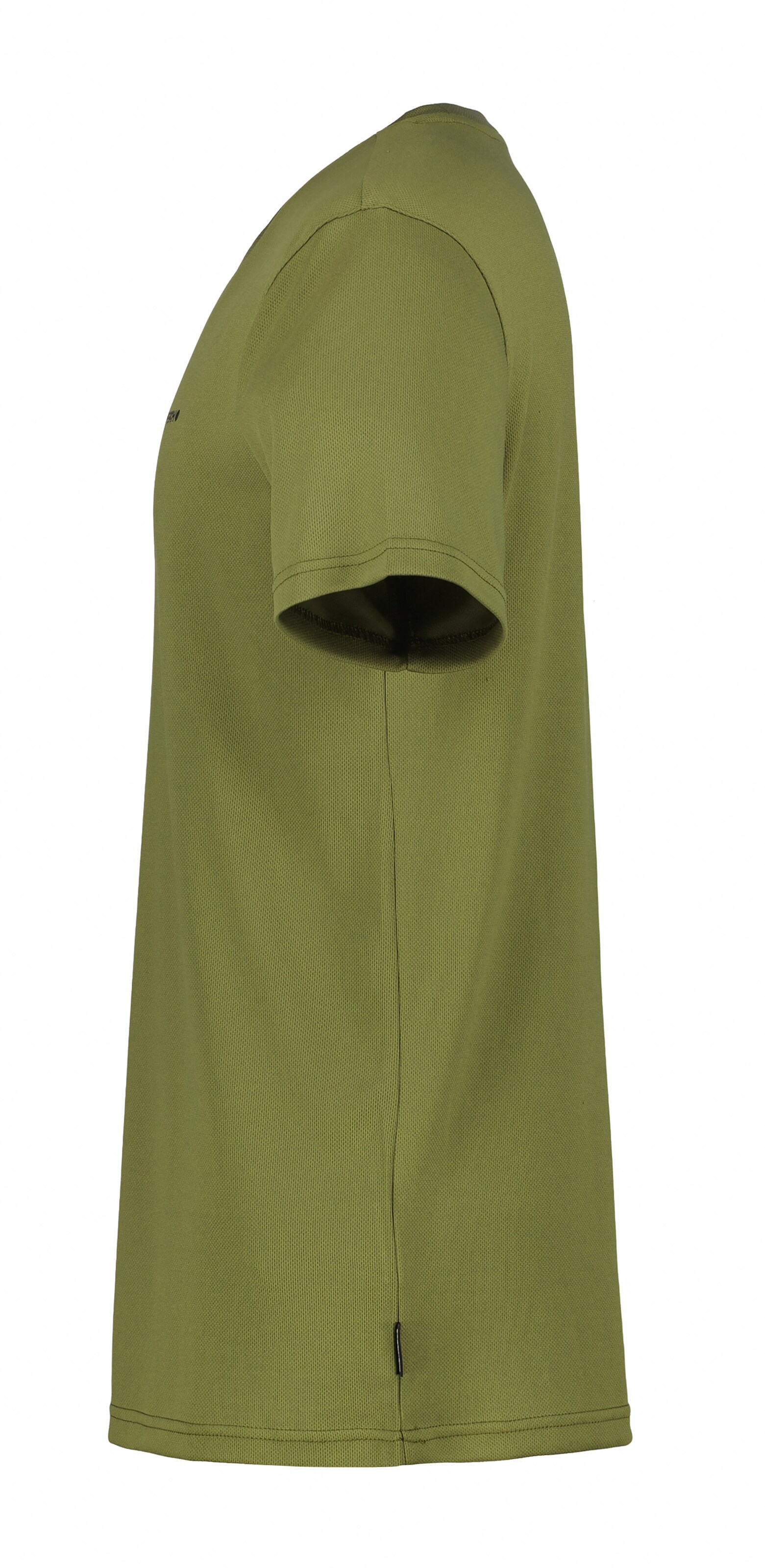 ICEPEAK Funktionsshirt 'Berne' in Grün