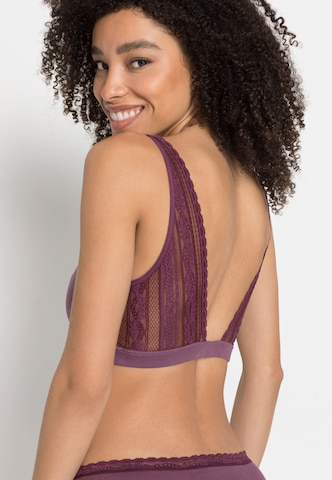 s.Oliver Bralette Bra in Purple