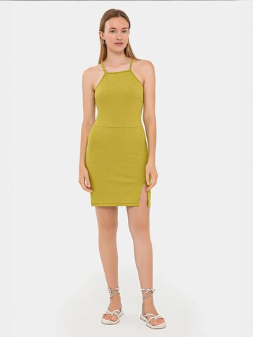 Hiccup Kleid in Grün