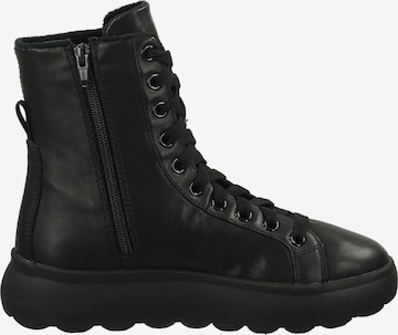 GEOX Lace-Up Ankle Boots in Black