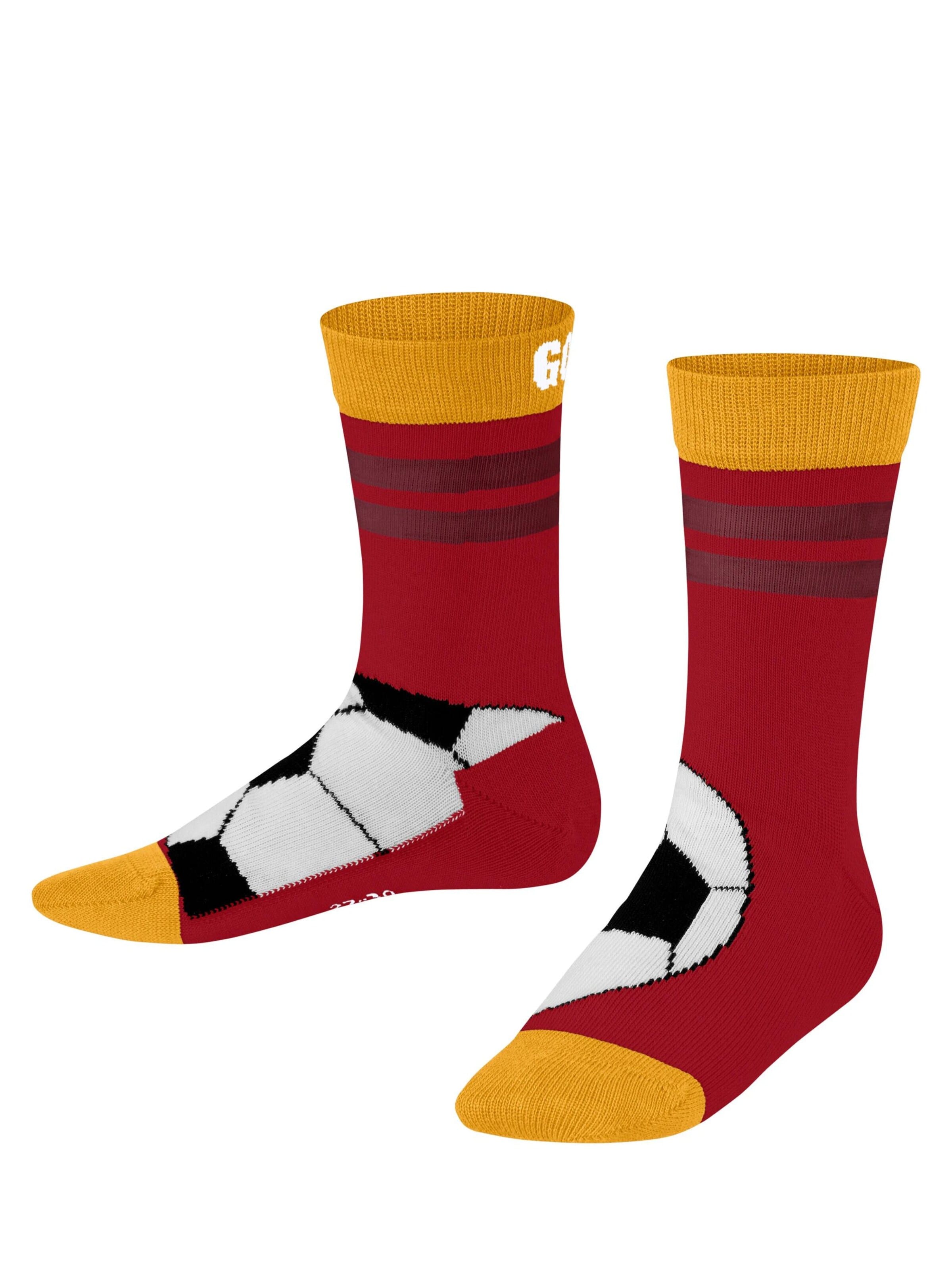 FALKE Socks 'Active Soccer' in Red: front