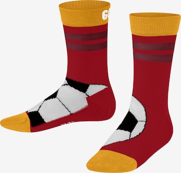FALKE Socks 'Active Soccer' in Red: front