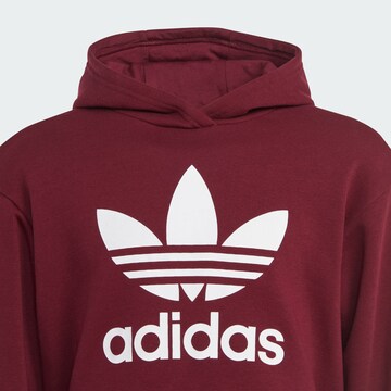 ADIDAS ORIGINALS Sweatshirt 'Adicolor' in Rot