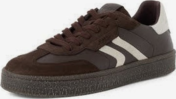 Tamaris Sportlicher Schnürschuh 'Sportlicher Schnürschuh Herren 1-13616-46-304 Echtleder in braun' in Braun: Vorderseite