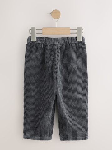 Next Loosefit Broek in Grijs