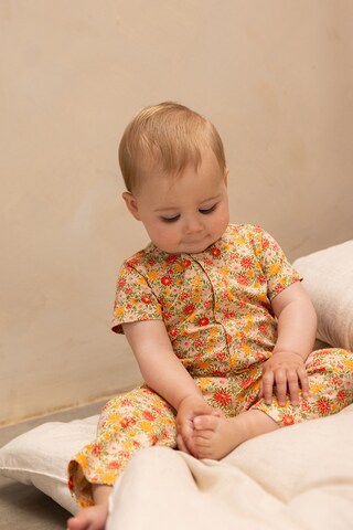 Noppies Regular Broek ' Millcreek ' in Oranje