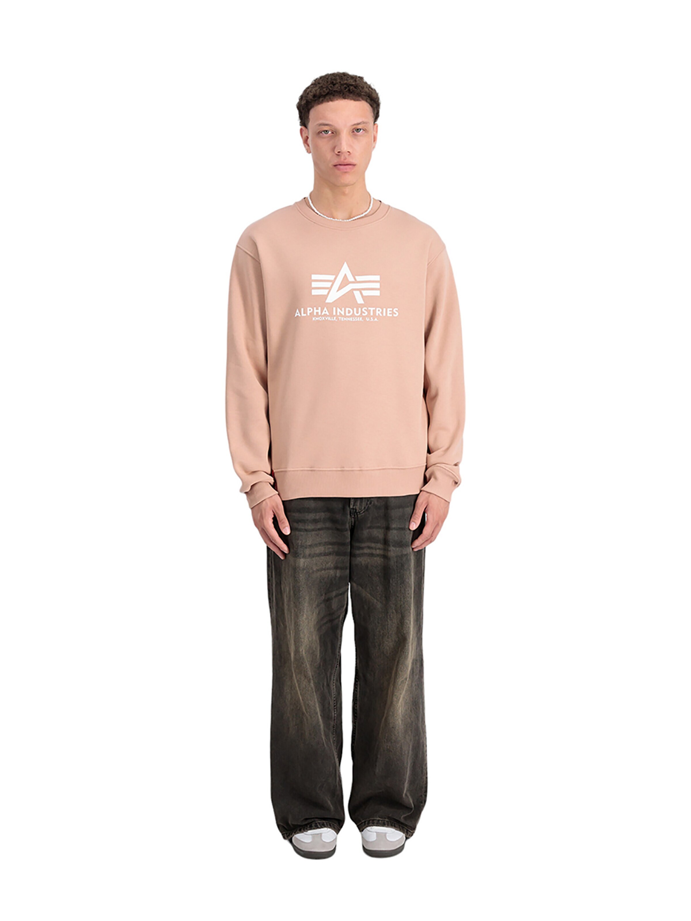 ALPHA INDUSTRIES Sweatshirt 'Basic'‌ in Orange