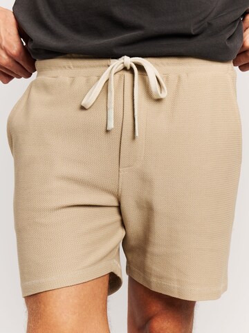 PROTEST Regular Pants 'PRTGraig' in Brown