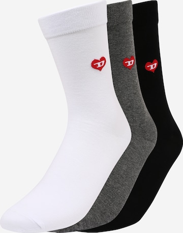DIESEL Socks in Mixed colors: front