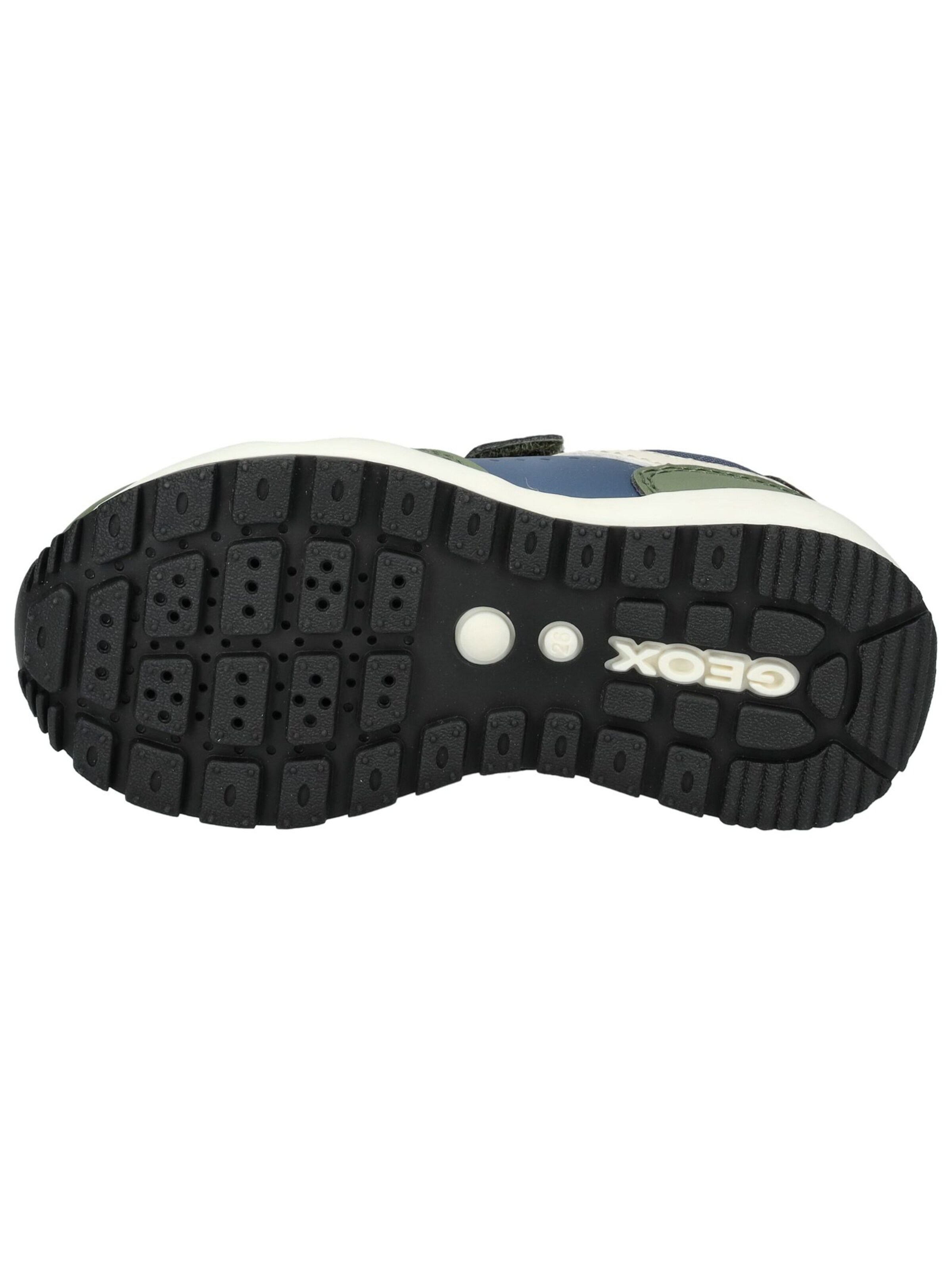 GEOX Sneaker in Grün