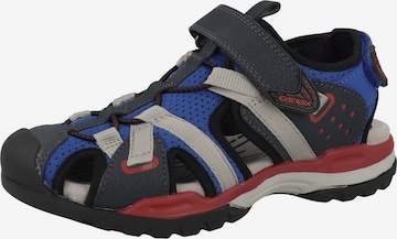 GEOX Open schoenen in Blauw: voorkant