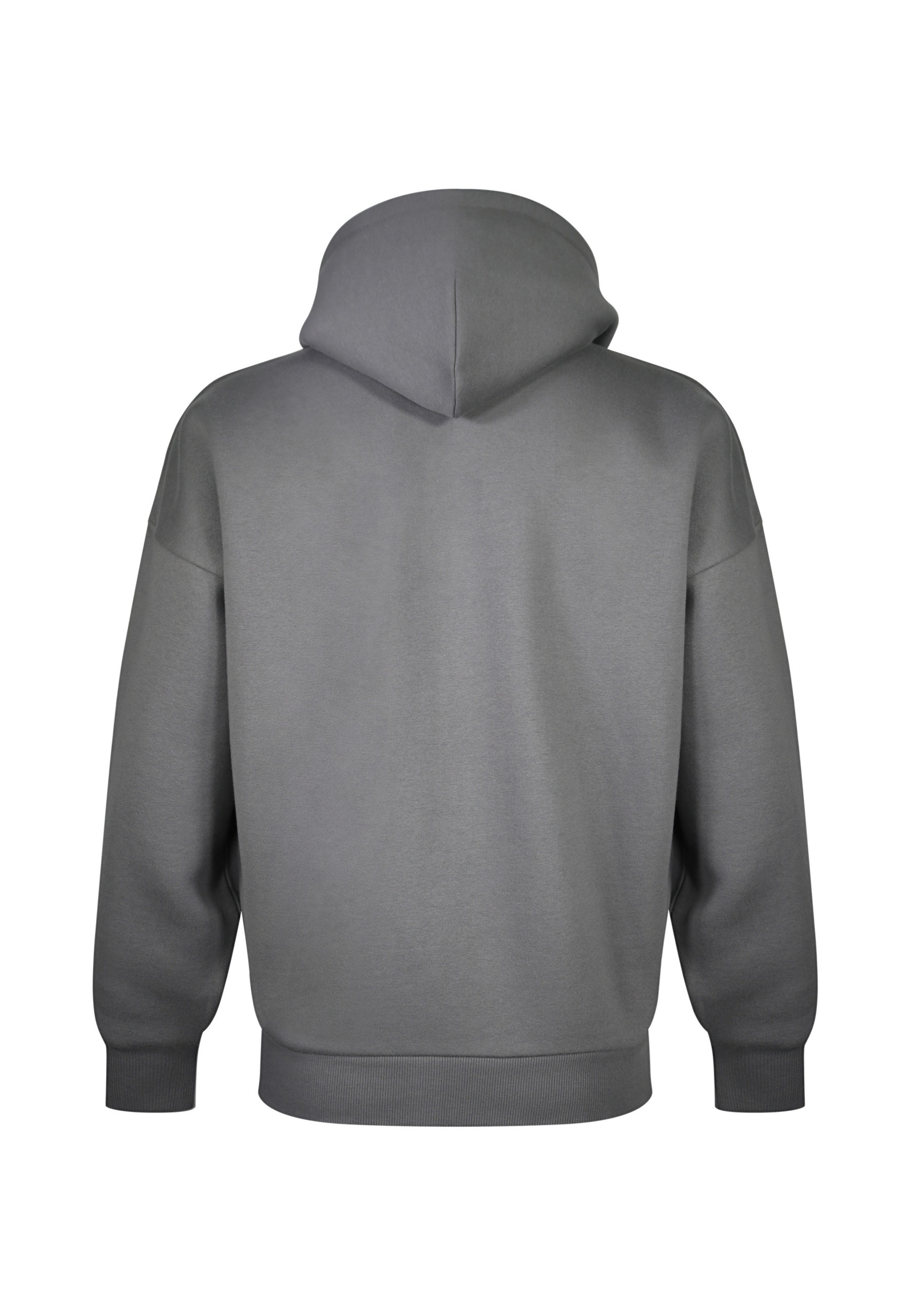SikSilk Zip-Up Hoodie 'Essentials' in Grey
