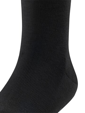 FALKE Socks 'Family' in Black
