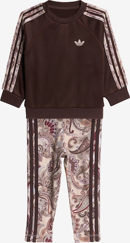 Set 'Adidas x Liberty London' ADIDAS ORIGINALS en marron : devant