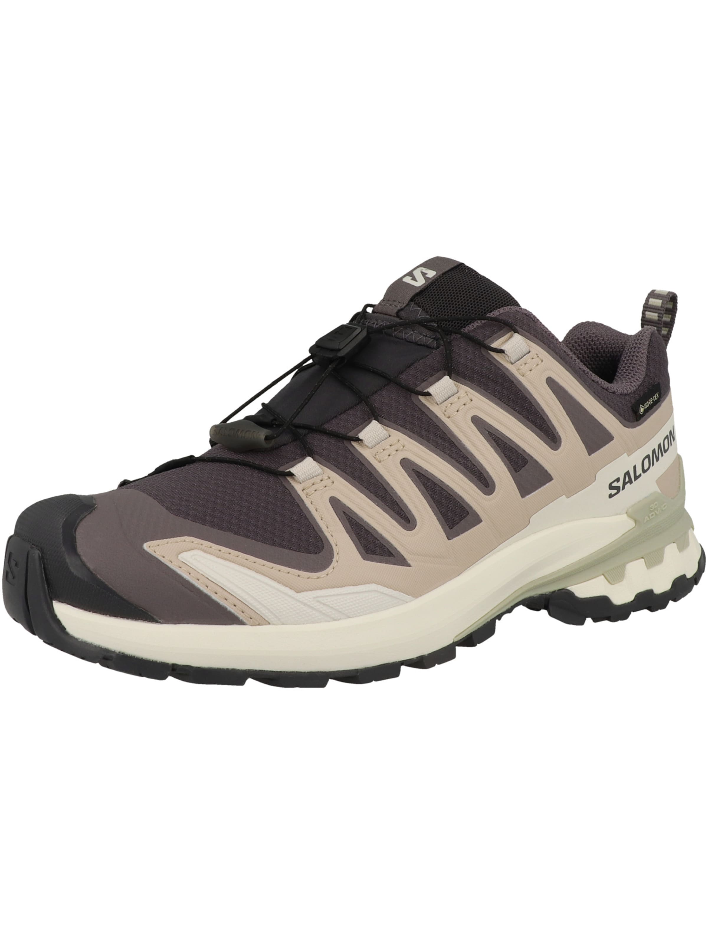 Chaussure de course 'XA Pro 3D V9' SALOMON en gris