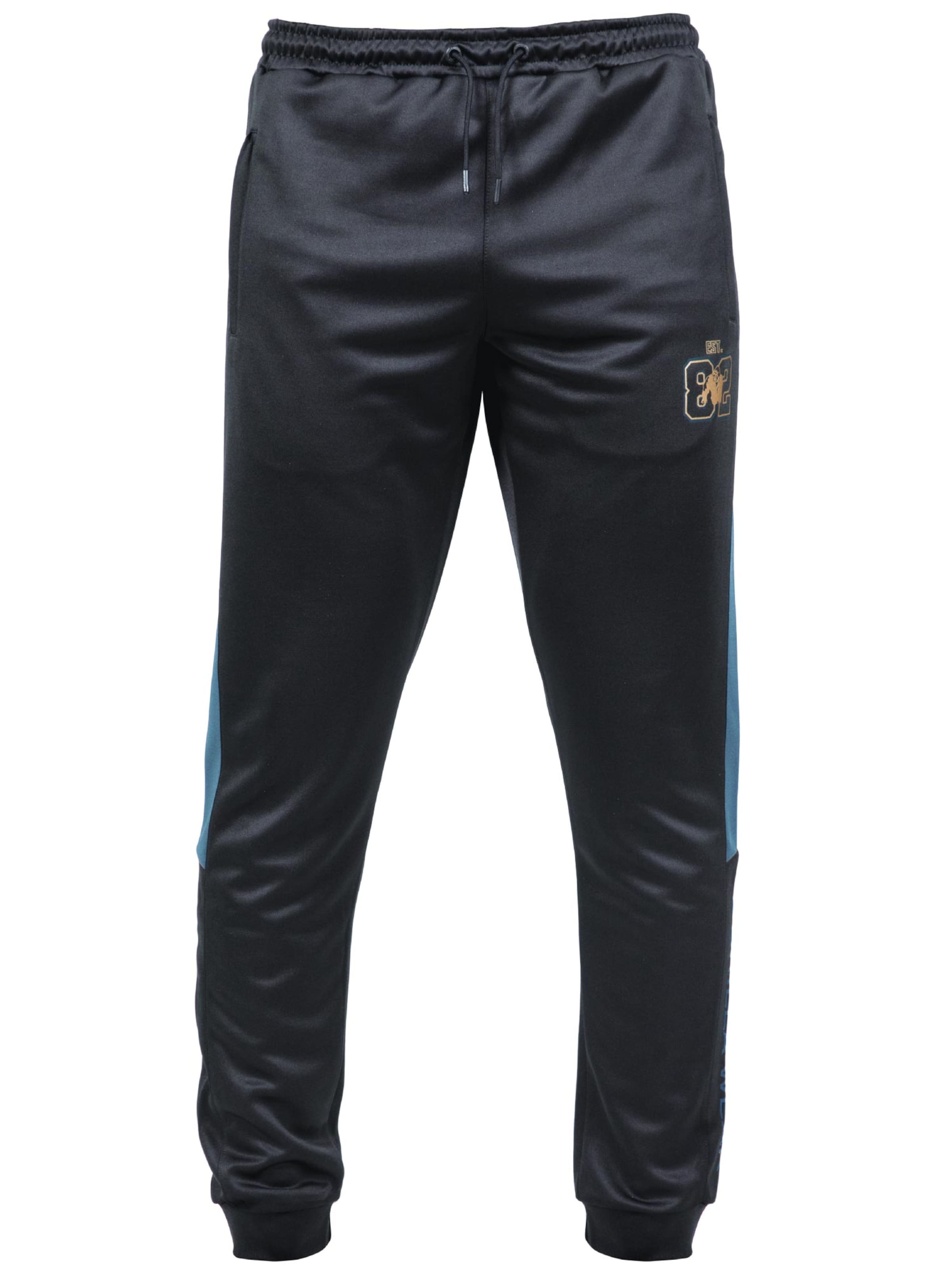 Slimfit Pantaloni funzionali di Gorilla Wear in grigio: frontale