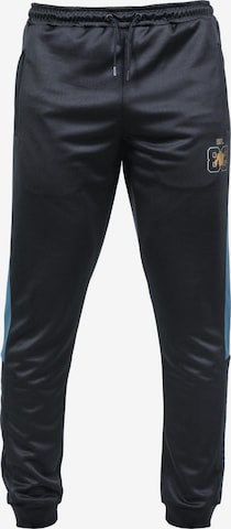 Gorilla Wear Functionele broek in Grijs: voorkant