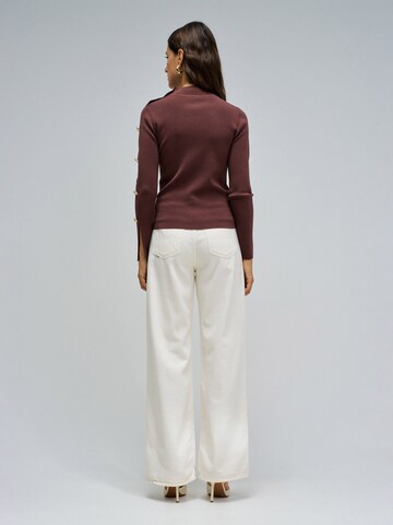 Salsa Jeans Pullover in Braun