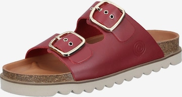 DR. BRINKMANN Mules 'BONILLO' in Red: front