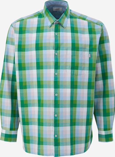 s.Oliver Red Label Big & Tall Košulja u plava / siva / zelena / bijela, Pregled proizvoda