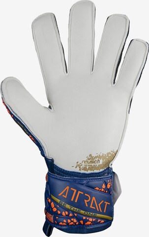 REUSCH Athletic Gloves 'Attrakt Grip' in Blue