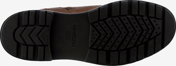 GEOX Schnürboots 'Andalo' in Braun