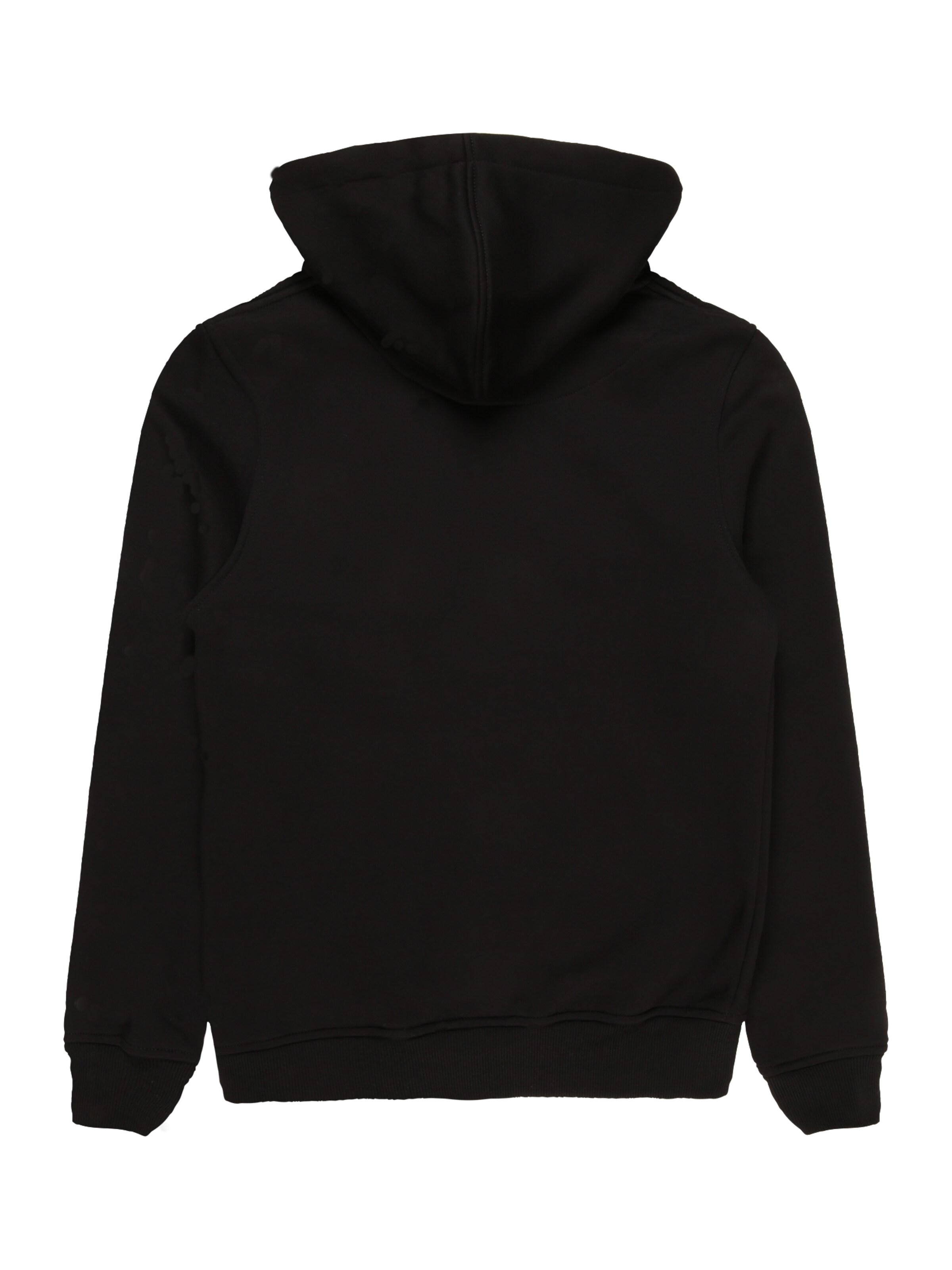 Mister Tee Bluza 'Pray' w kolorze czarny