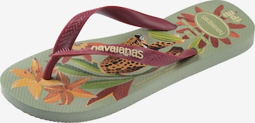 HAVAIANAS - Sandalias de dedo 'Ipe' en rojo: frente