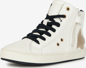 GEOX Sneakers in White: front