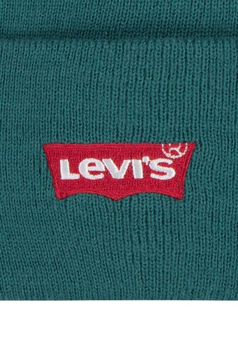 Levi's Kids Mütze in Grün