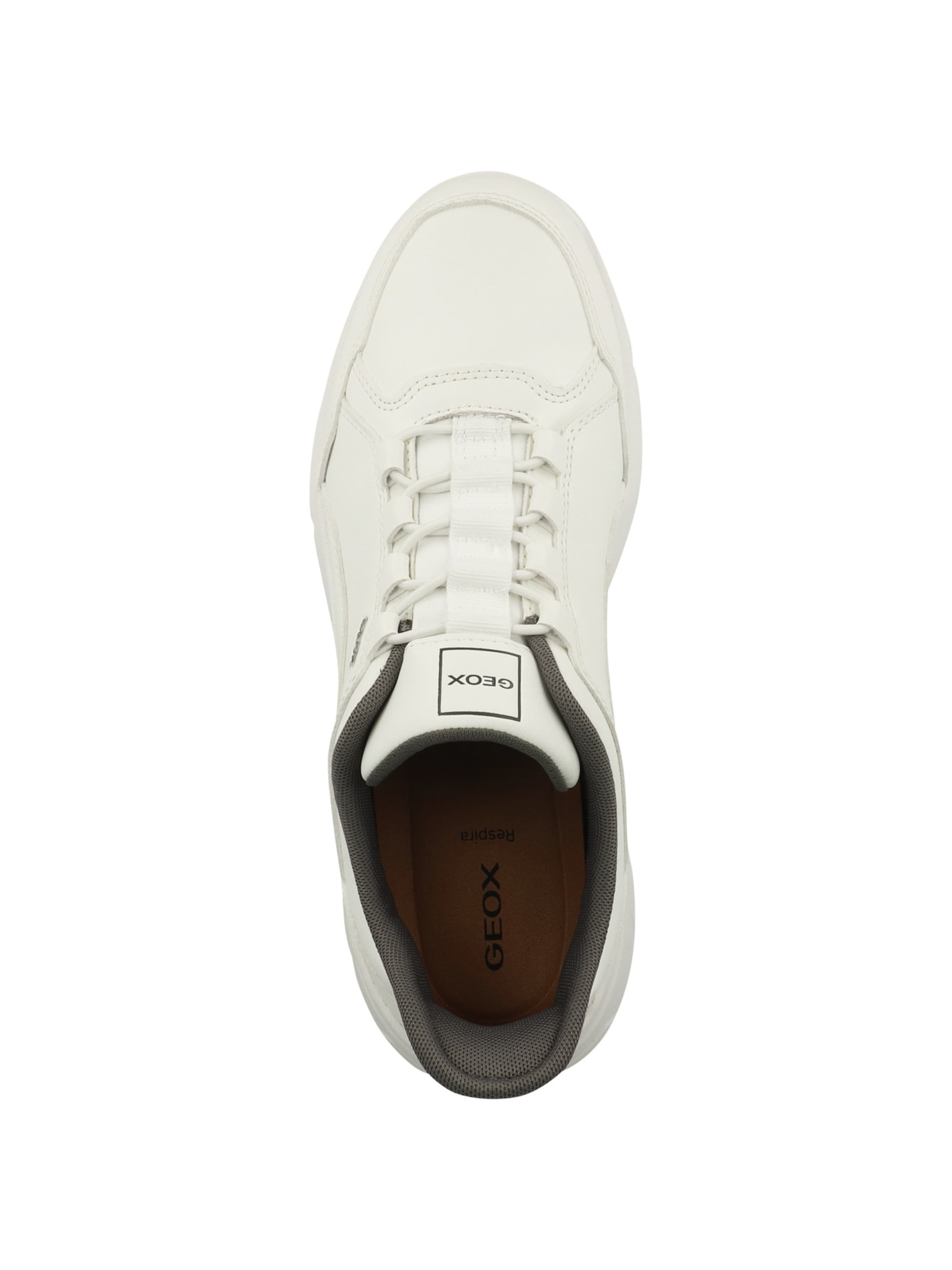 Sneaker bassa di GEOX in bianco