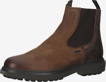 GEOX Chelsea Boots in Brown: front