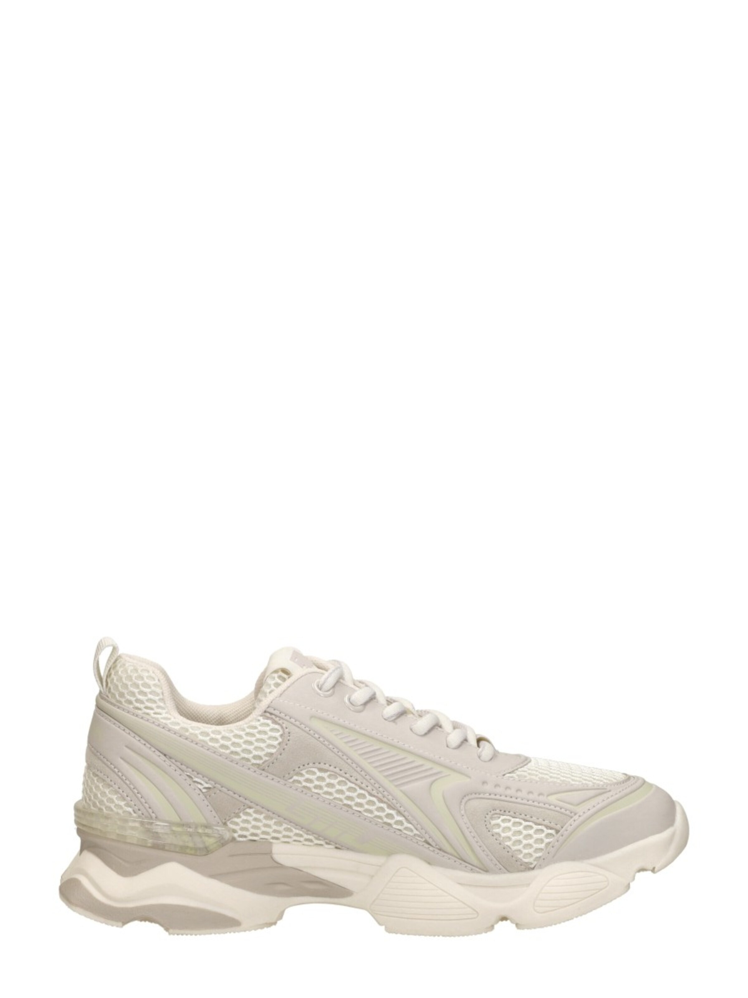 STEVE MADDEN Sneaker low 'Speedster-E'‌‌‌‌‌‌ in Beige