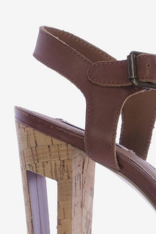 Calvin Klein Jeans Sandals & High-Heeled Sandals in 38 in Brown
