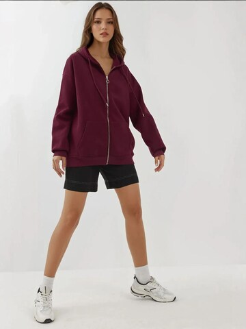 Hiccup Sweatjacke in Rot