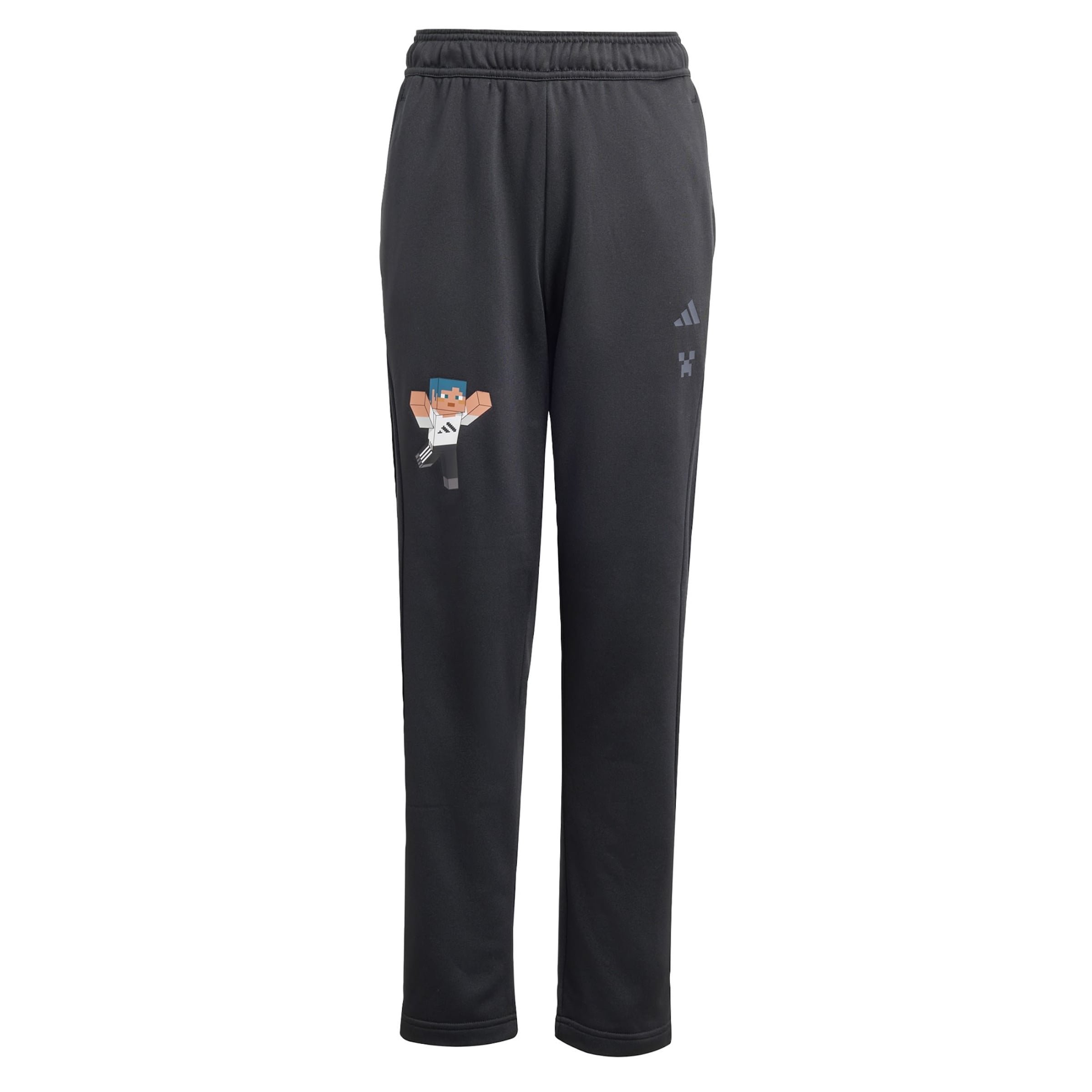 ADIDAS SPORTSWEAR Regular Sporthose 'Minecraft' in Schwarz: Vorderseite