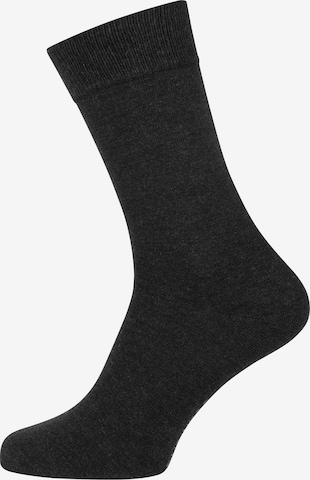 Nur Der Socks in Grey