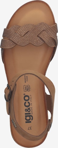 IGI&CO Strap Sandals in Brown