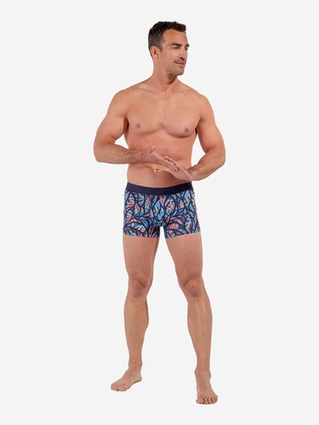 HOM Boxer shorts ' Boxer Briefs Indian Creek ' in Blue