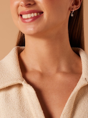 Lucardi Earrings in Silver: front