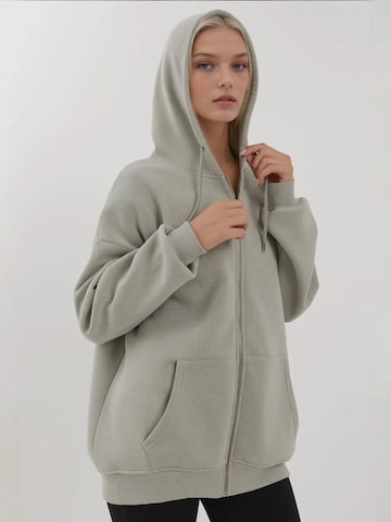 Veste de survêtement Hiccup en gris